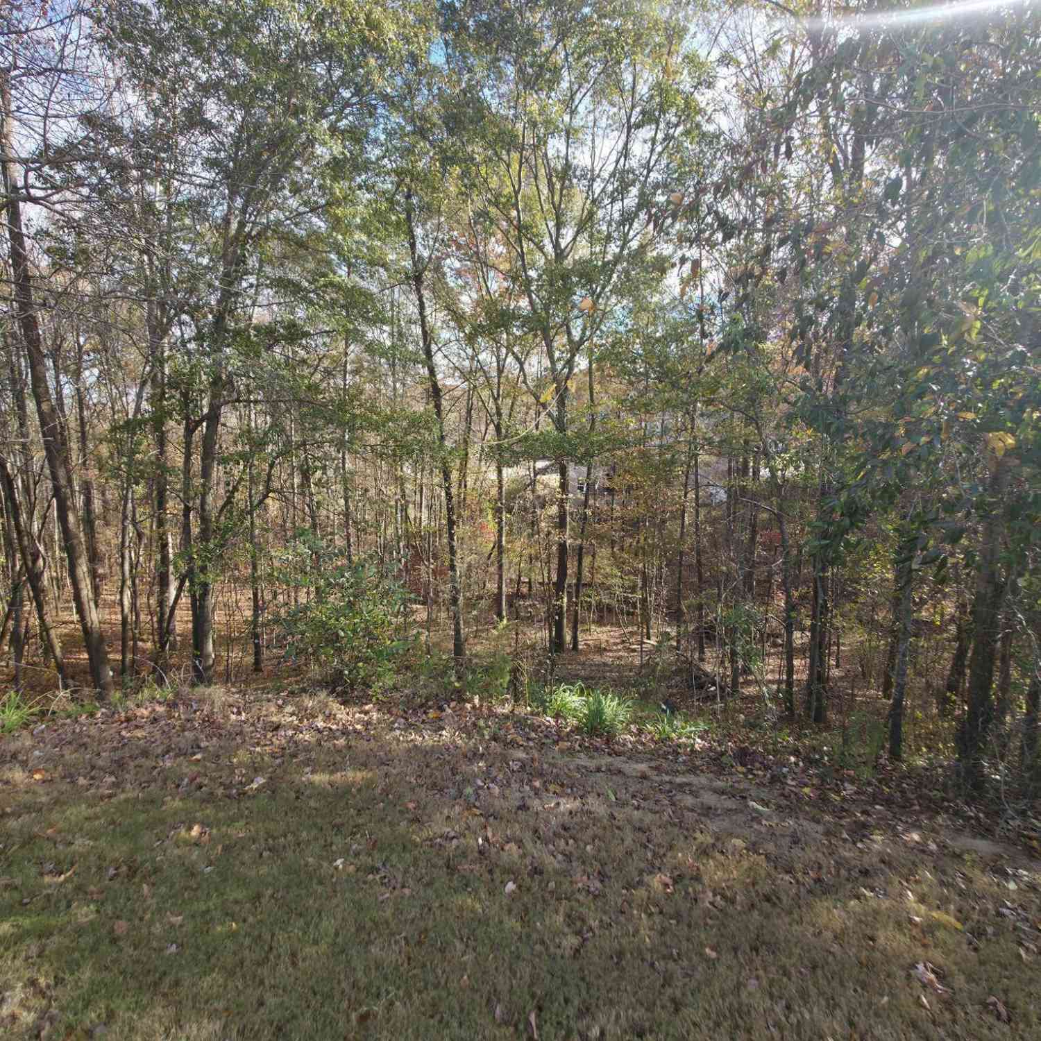 Vacant Land For Sale - 2412 Snowshoe Bend<br/> Bethlehem, GA 30620
