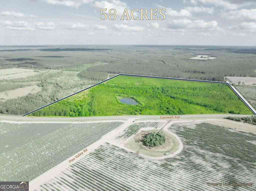 Vacant Land For Sale - Carswell Avenue<br/> Waycross, GA 31503