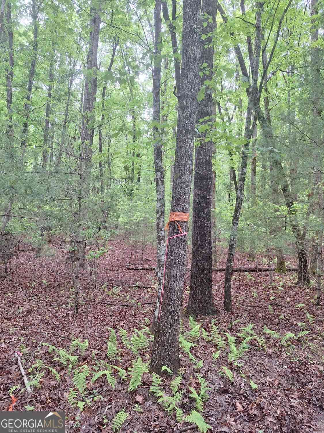 Vacant Land For Sale - LOT 14 Noontootla Ridge Court<br/> Blue Ridge, GA 30513
