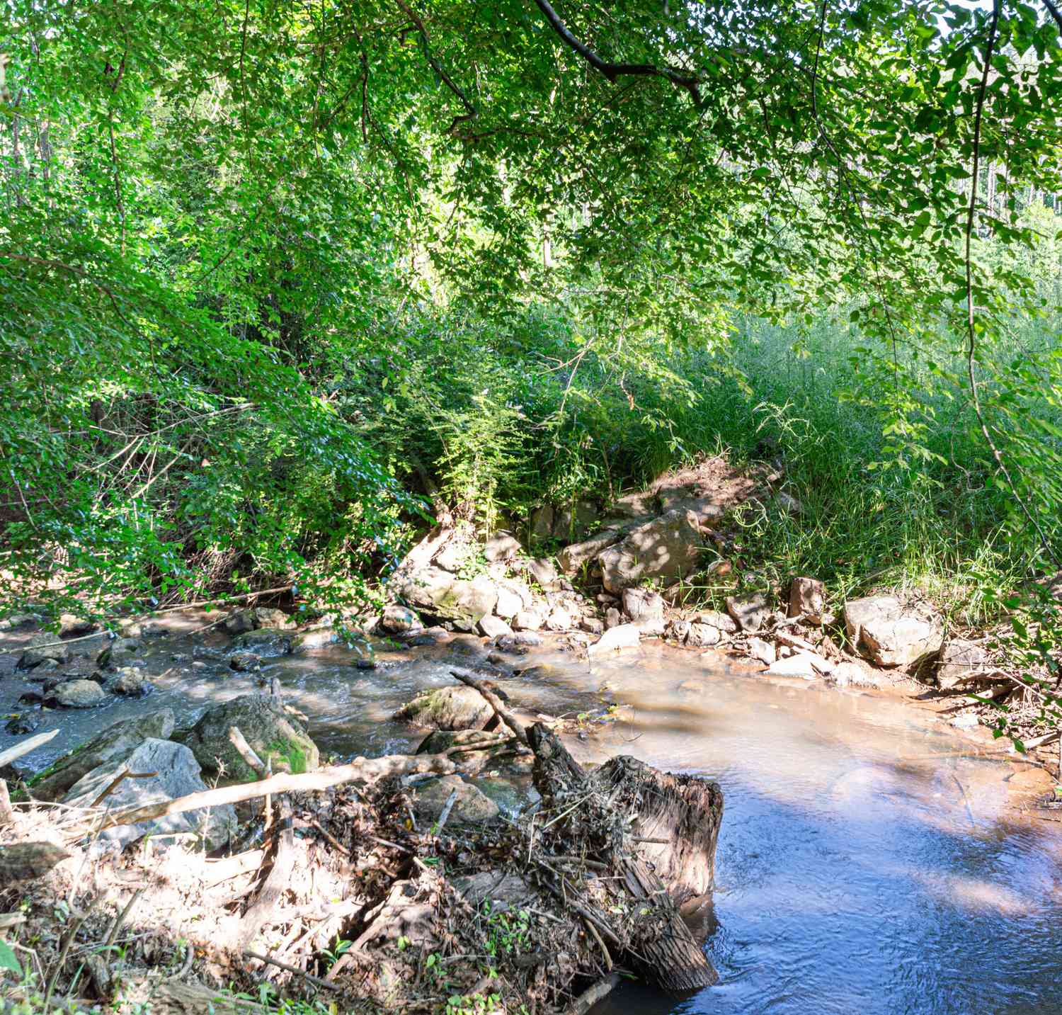 Vacant Land For Sale - Apt-to-miss Road<br/> Monticello, GA 31064