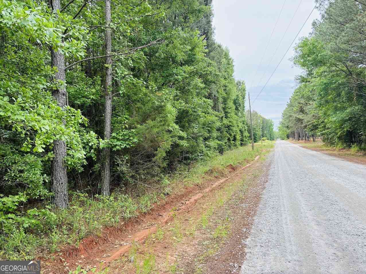 Vacant Land For Sale - Lee Lane<br/> Greenville, GA 30222