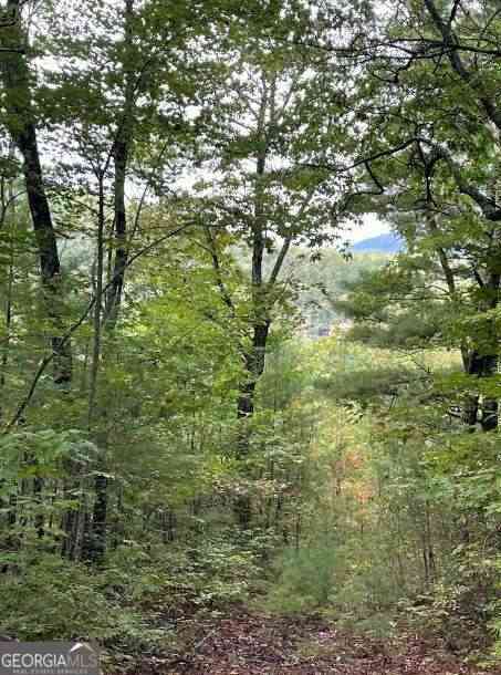 Vacant Land For Sale - LOT 7 Sequoia Hills Lane #7<br/> Rabun County, Clayton, GA 30525