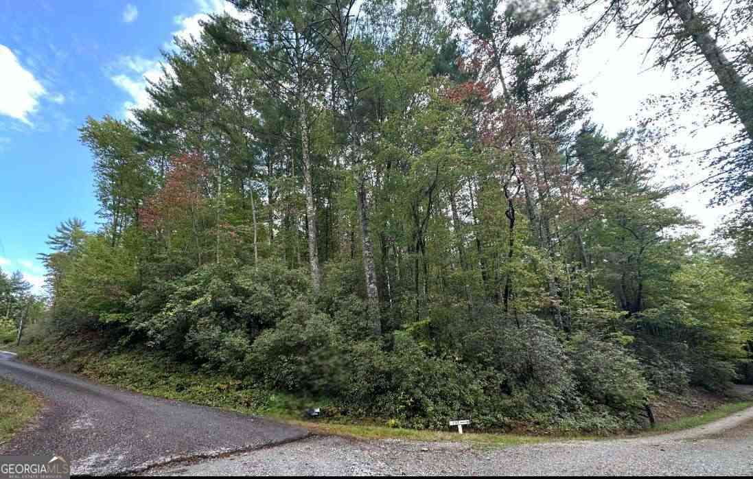 Vacant Land For Sale - LOT 6 Sequoia Hills Lane #6<br/> Rabun County, Clayton, GA 30525