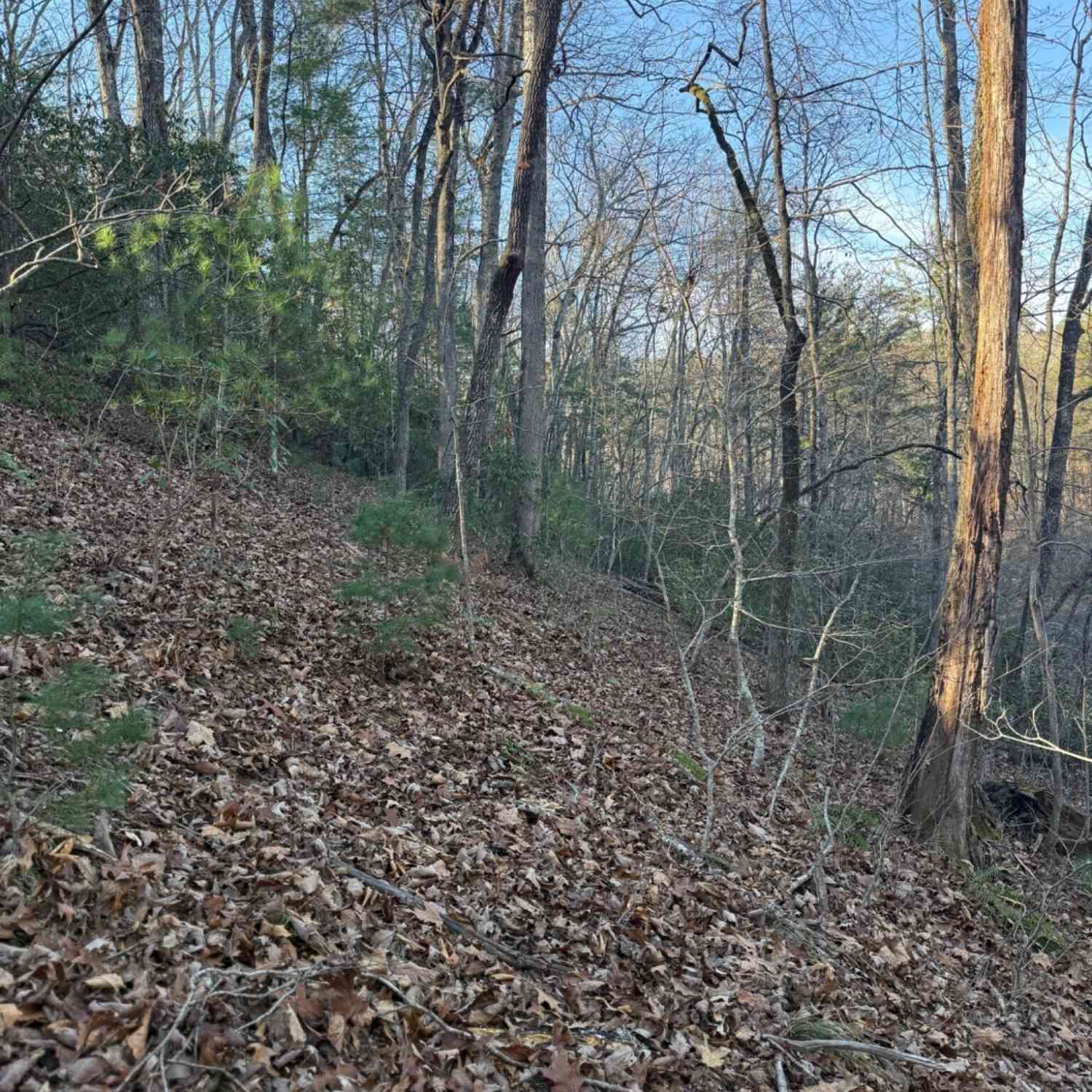 Vacant Land For Sale - 15 Mountain Gate<br/> Cleveland, GA 30528