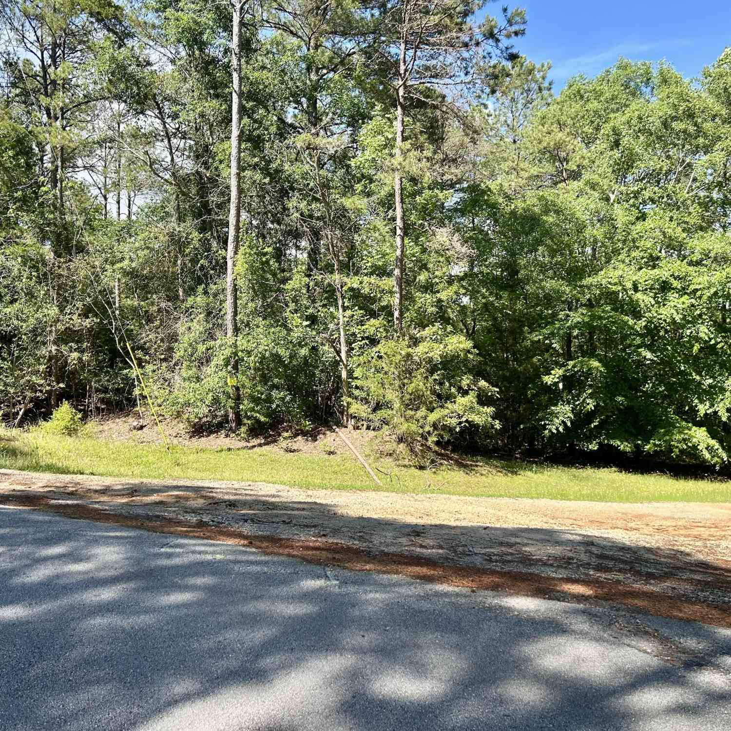 Vacant Land For Sale - Big Oak Drive<br/> Elbert County, Elberton, GA 30635