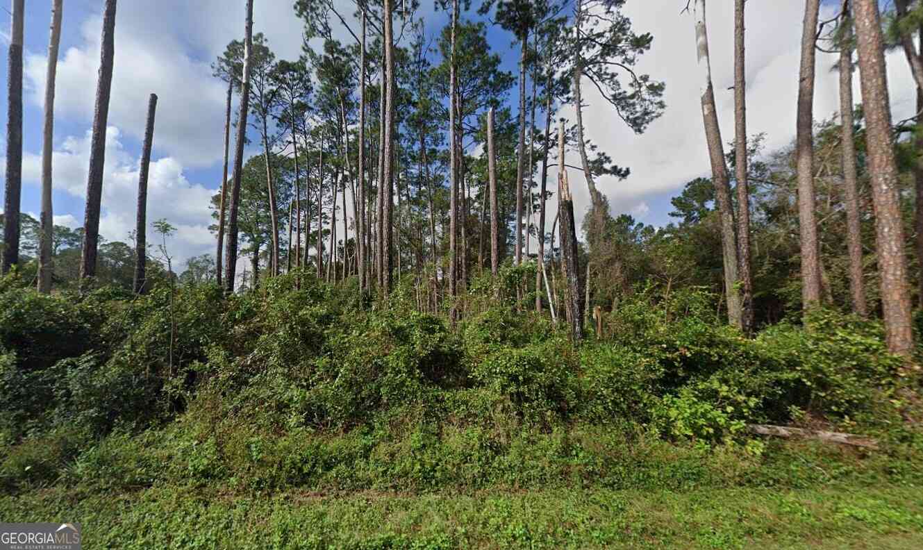 Vacant Land For Sale - 333 Midway Circle<br/> Brunswick, GA 31523