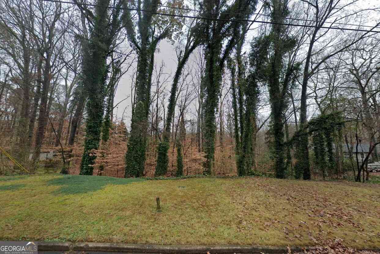Vacant Land For Sale - 3308 Hidden Bluff Trail<br/> Snellville, GA 30039