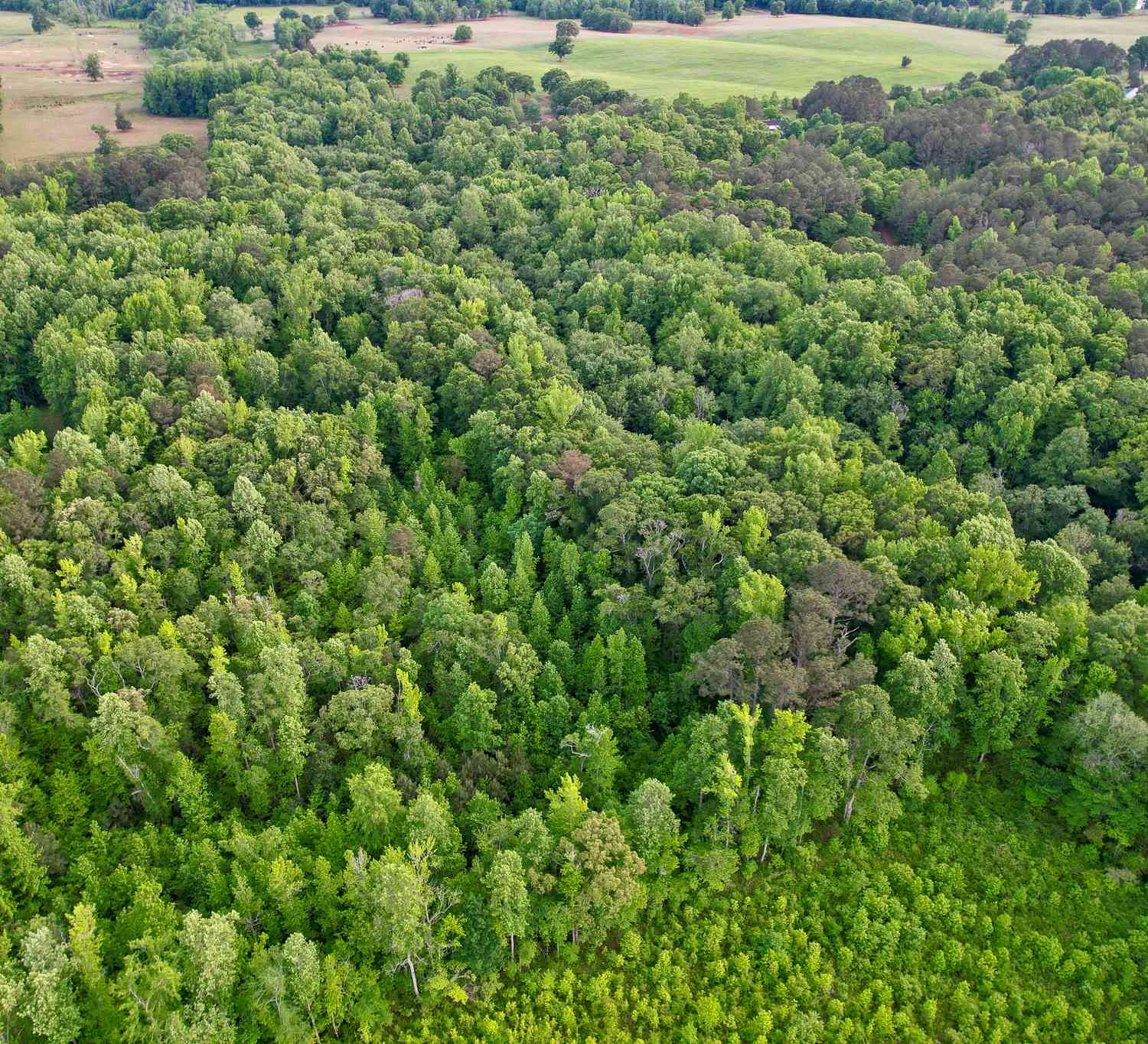 Vacant Land For Sale - Hemphill Road<br/> Griffin, GA 30224