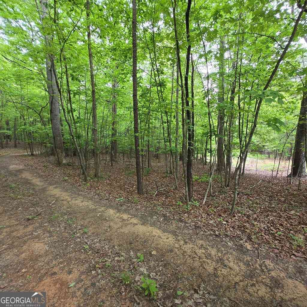 Vacant Land For Sale - 3.5ACRE Dusty Trail<br/> Morganton, GA 30560