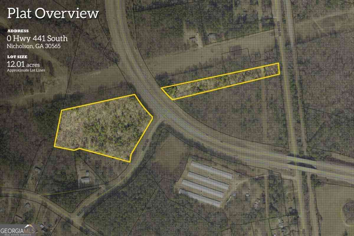 Vacant Land For Sale - Us Hwy 441 S<br/> Nicholson, GA 30565
