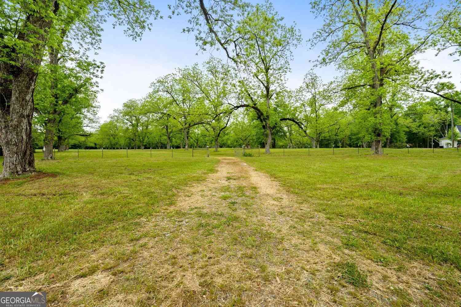 Vacant Land For Sale - 117 Zebulon Street<br/> Milner, GA 30257