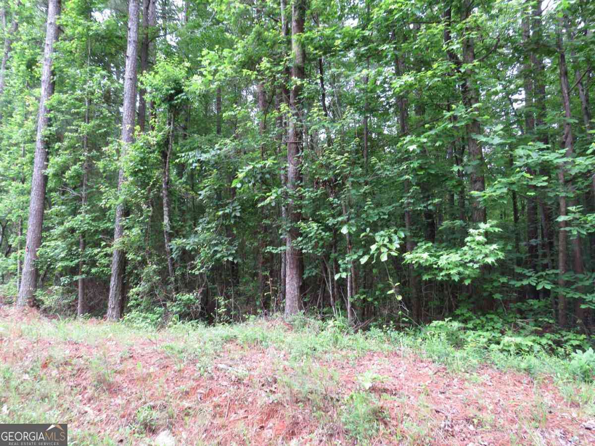 Vacant Land For Sale - Doke Cohran Road<br/> Paulding County, Dallas, GA 30157