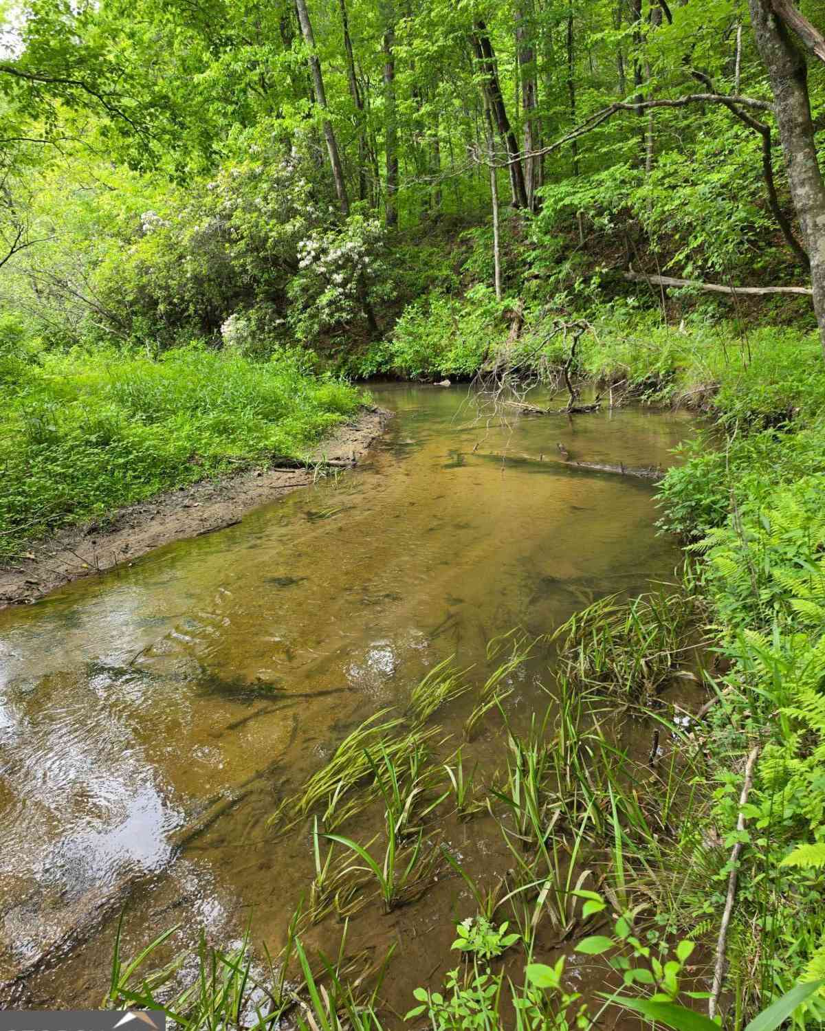 Vacant Land For Sale - 409 Harrison Sluder Road #140<br/> Ellijay, GA 30540