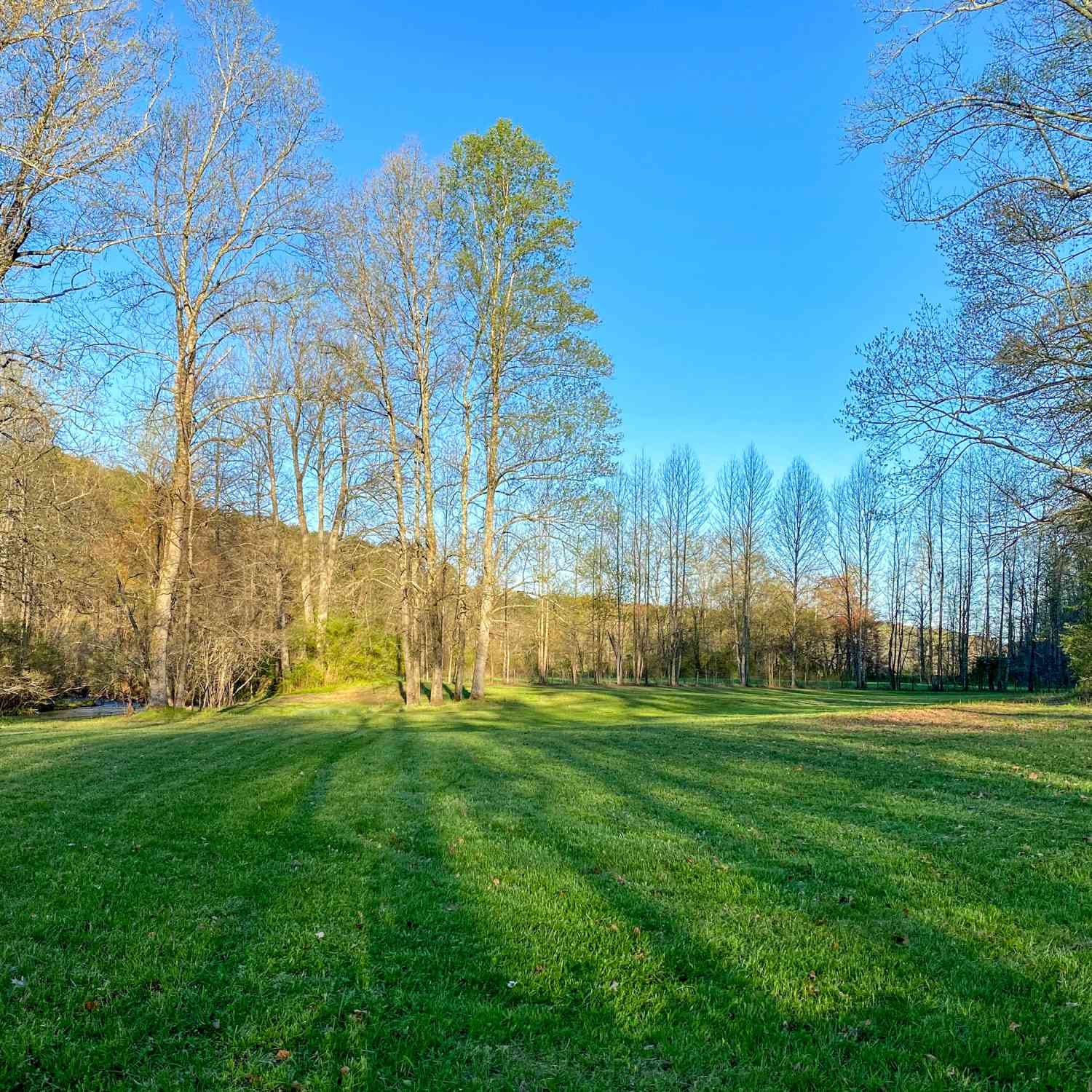 Vacant Land For Sale - 500 Big Sky Trail<br/> Dahlonega, GA 30533