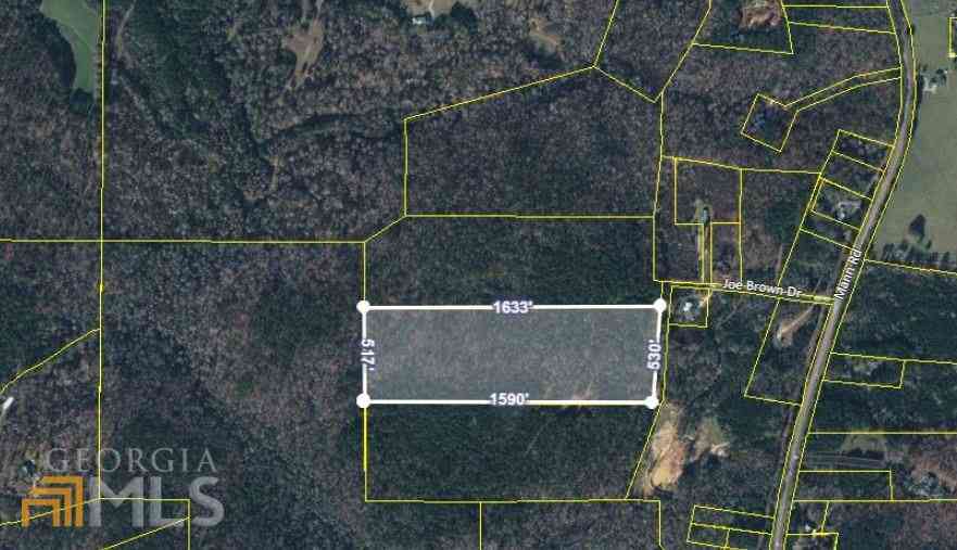 Vacant Land For Sale - Joe Brown Drive<br/> Shiloh, GA 31826
