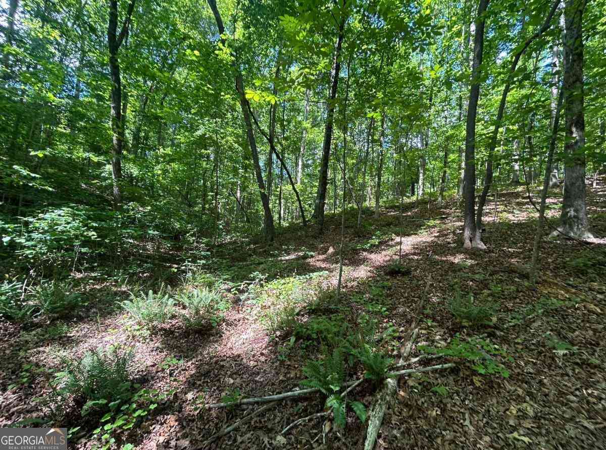 Vacant Land For Sale - Fouts Mill Rd<br/> Douglas County, Douglasville, GA 30135