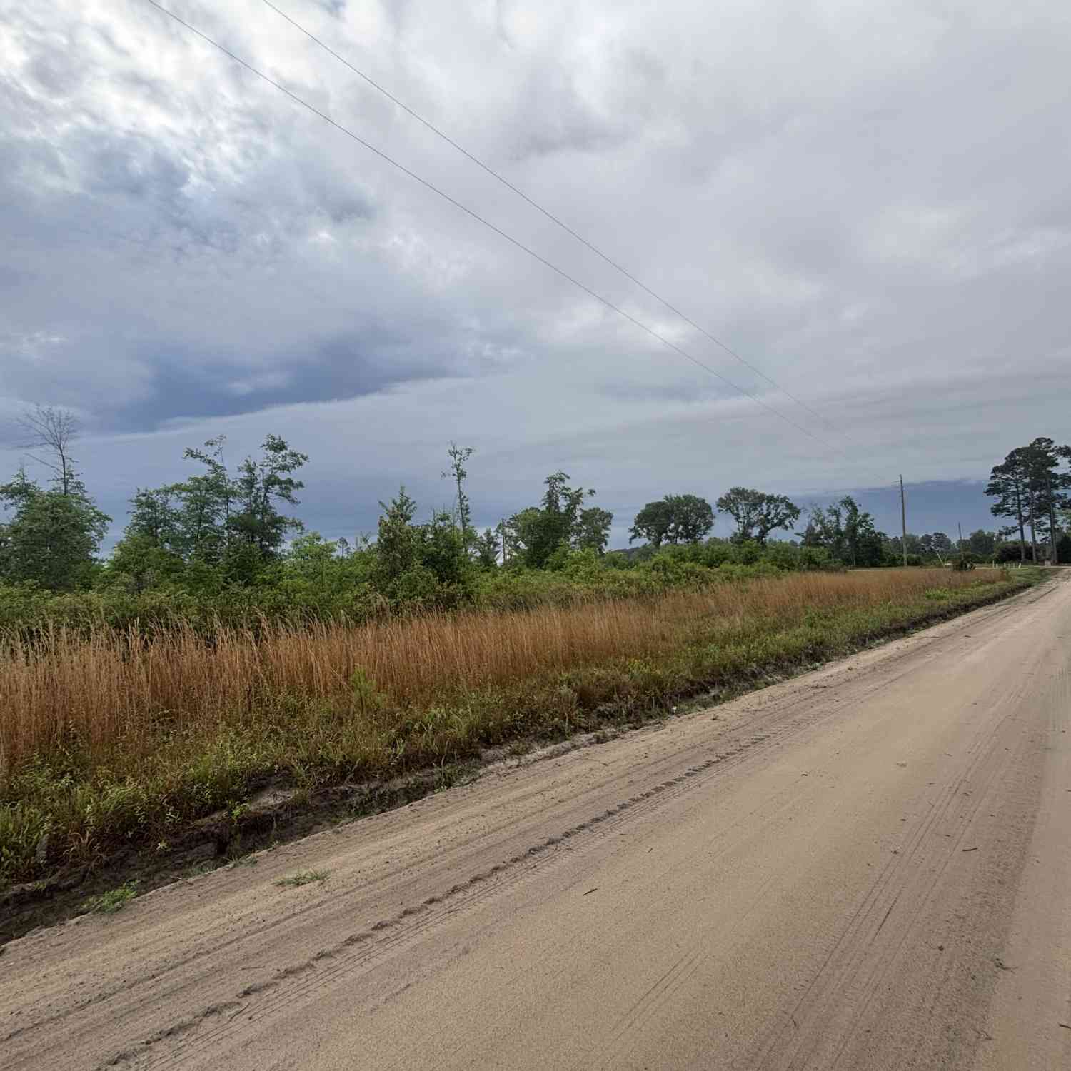 Vacant Land For Sale - Riggs Lane<br/> Claxton, GA 30417