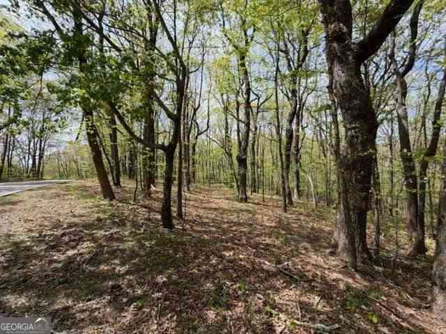 Vacant Land For Sale - LOT 26 Falcons Nest #26<br/> Jasper, GA 30143