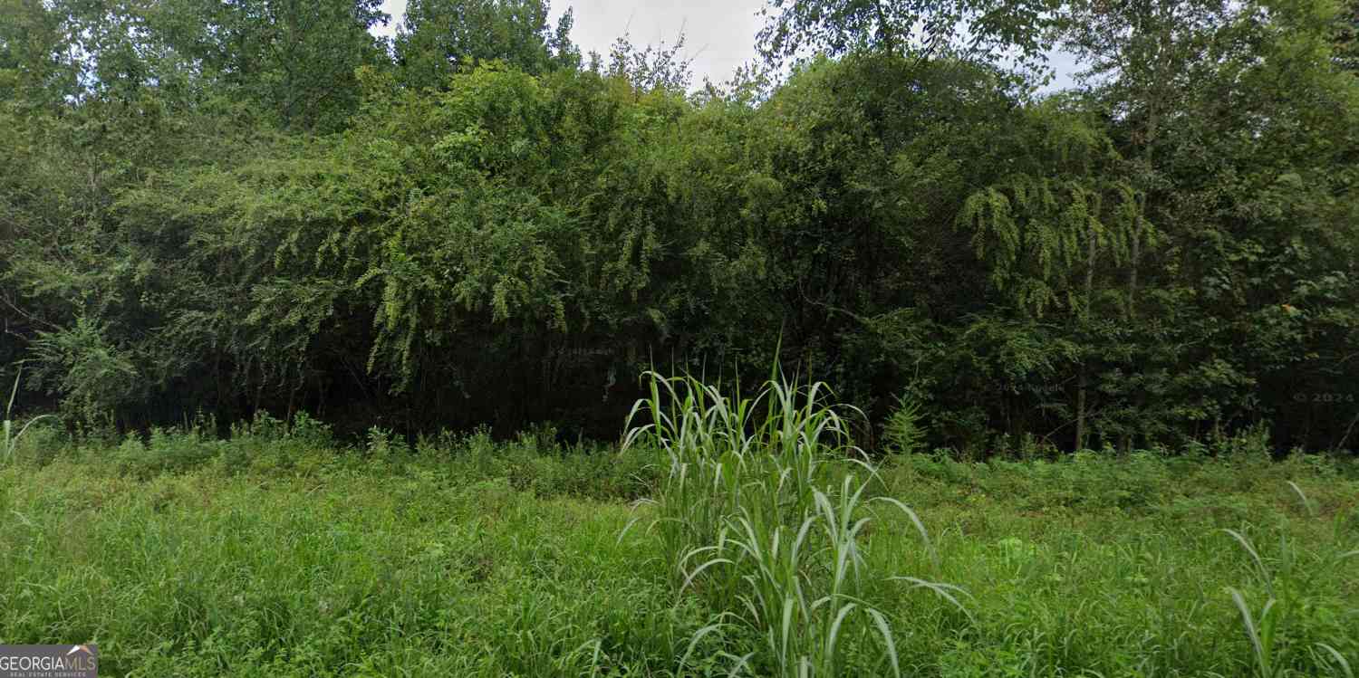 Vacant Land For Sale - Wildlife Lake Road<br/> Summerville, GA 30747