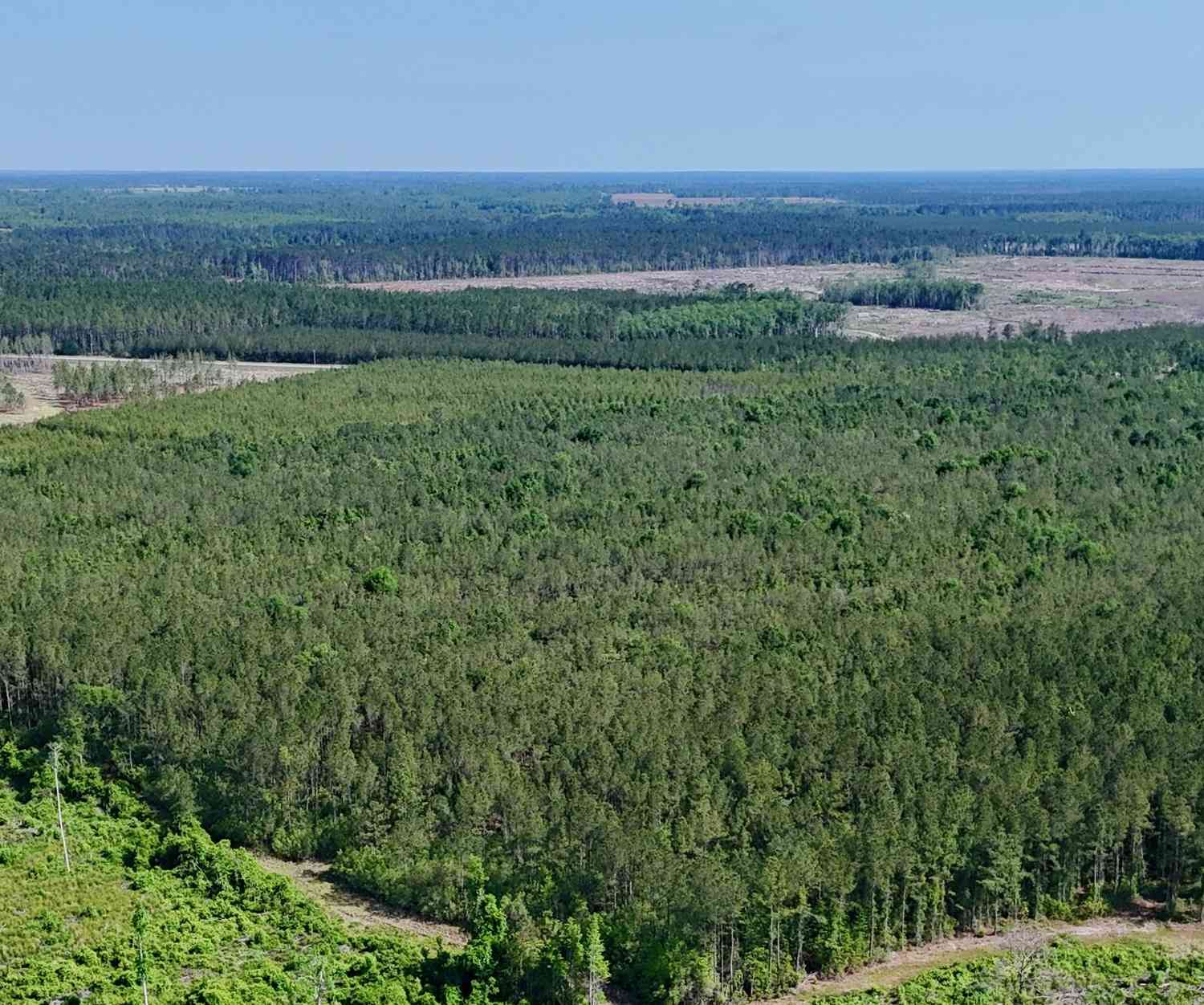 Vacant Land For Sale - Bells Ferry Road<br/> Lumber City, GA 31549