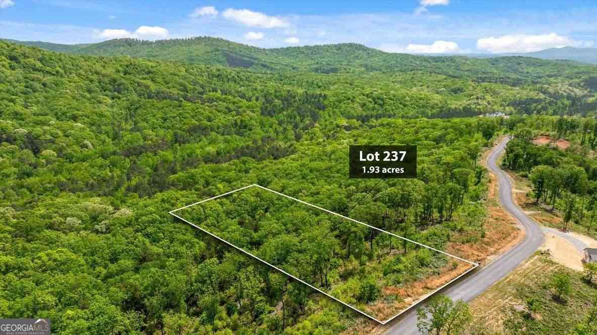Vacant Land For Sale - LOT 237 Highgrove Drive<br/> Talking Rock, GA 30175