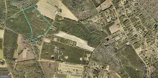 Vacant Land For Sale - Page Road<br/> Bryan County, Ellabell, GA 31308