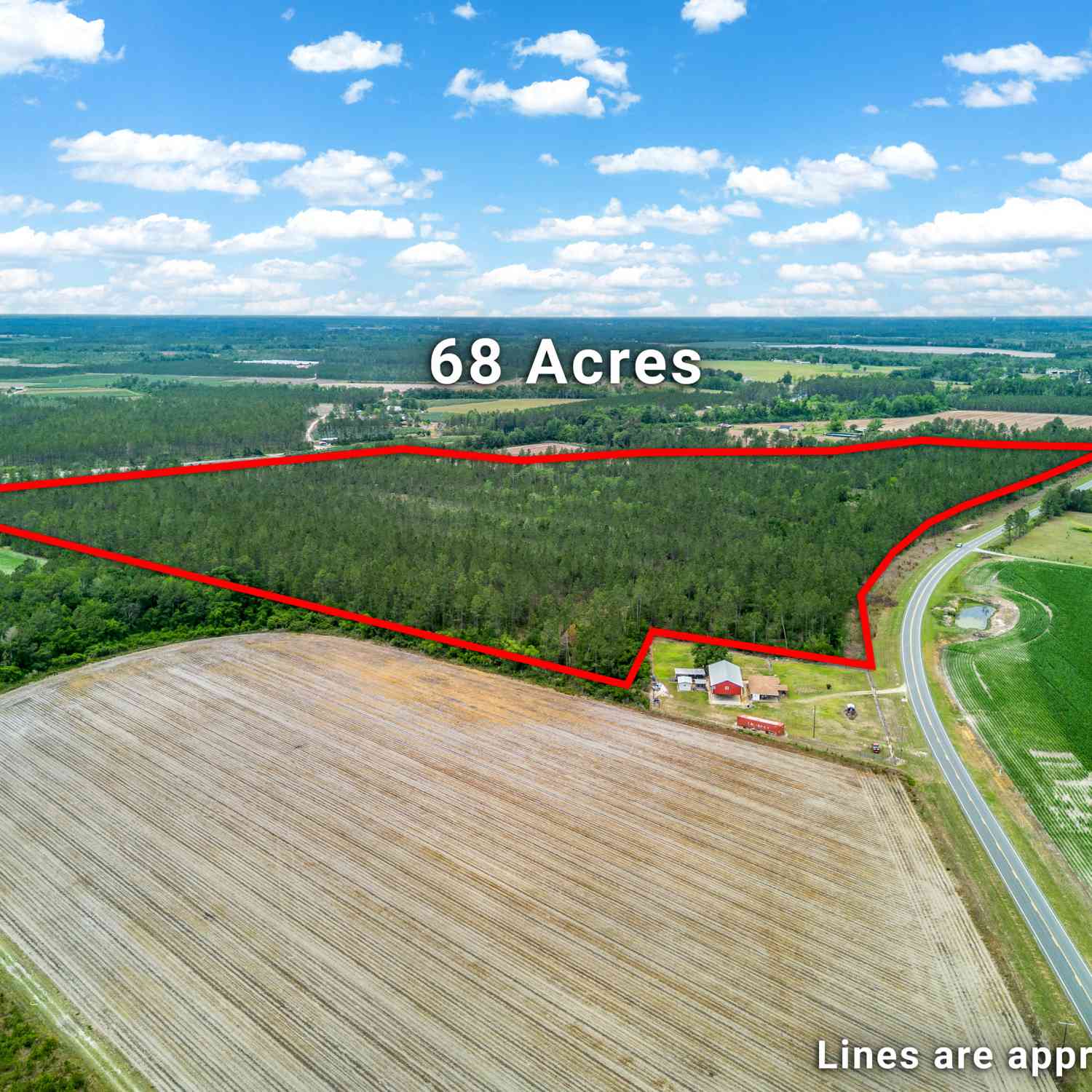 Vacant Land For Sale - 110 Lees Chapel Road<br/> Bacon County, Nicholls, GA 31554