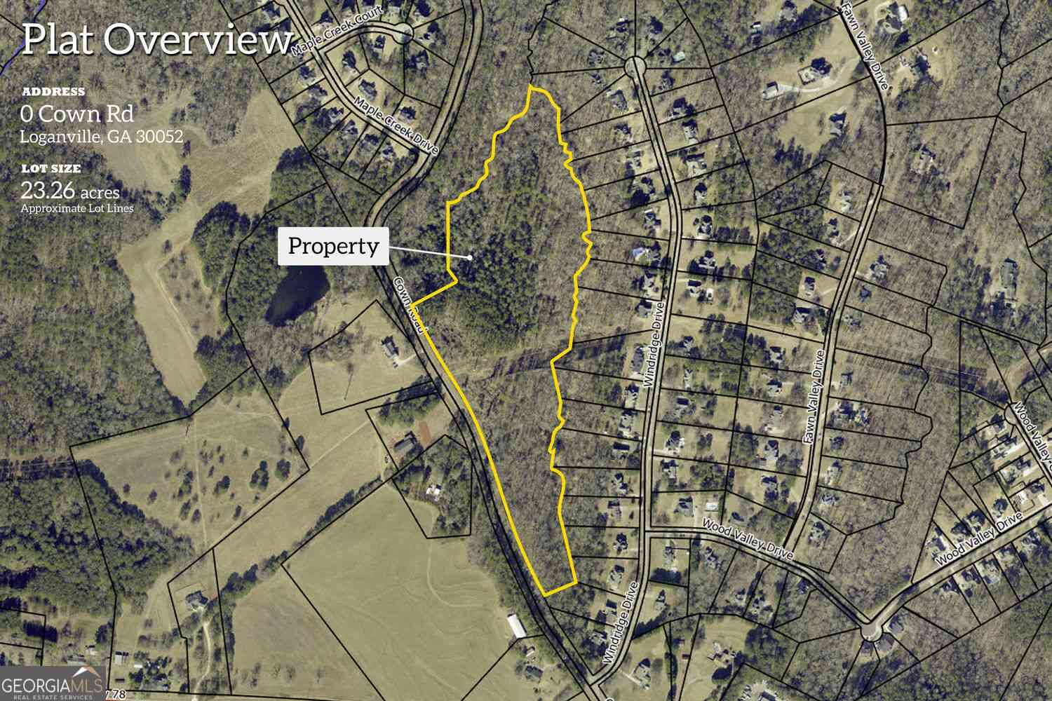 Vacant Land For Sale - Cown Road<br/> Loganville, GA 30052
