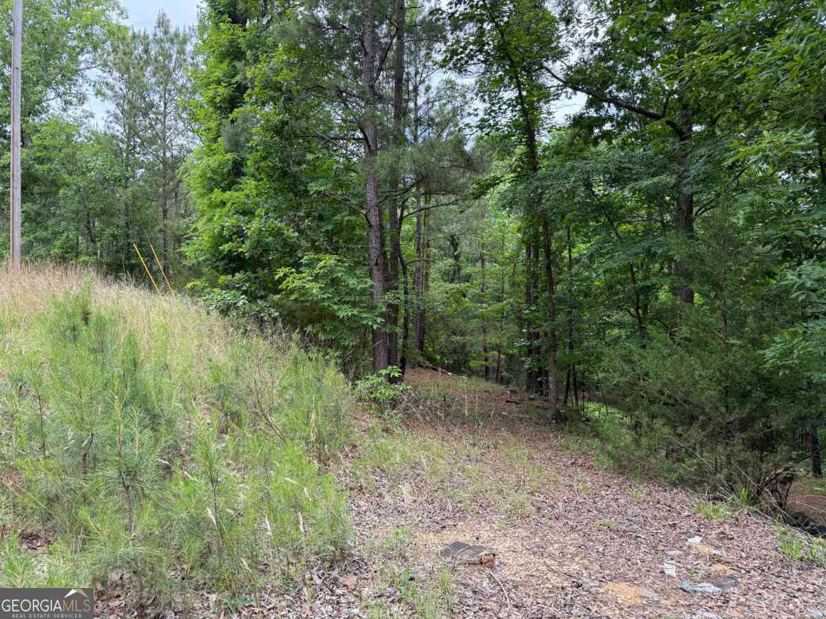 Vacant Land For Sale - LOT 51 Bramlett Cr<br/> Elbert County, Elberton, GA 30635