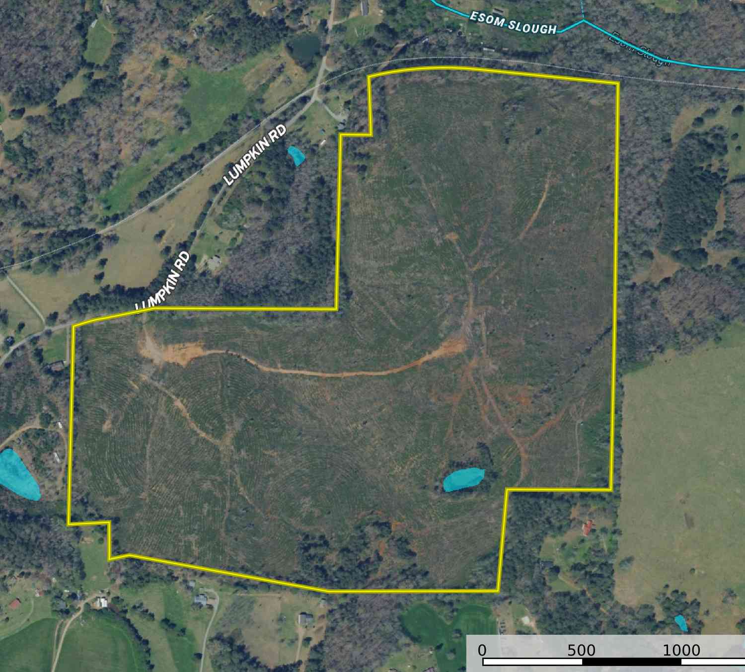Vacant Land For Sale - 118 +/- Acres On Lumpkin Road<br/> Cedartown, GA 30125