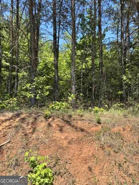 Vacant Land For Sale - 7.66 ACS Keener Road<br/> Toccoa, GA 30577