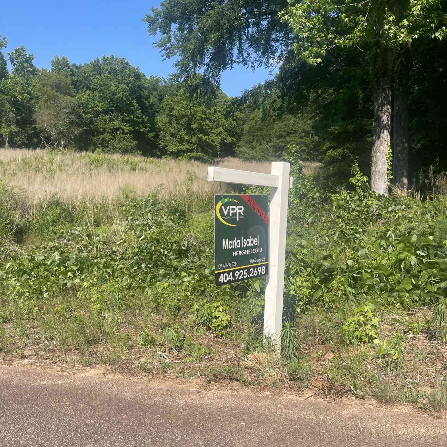 Vacant Land For Sale - LOT 13 D Nails Creek Crossing<br/> Royston, GA 30662