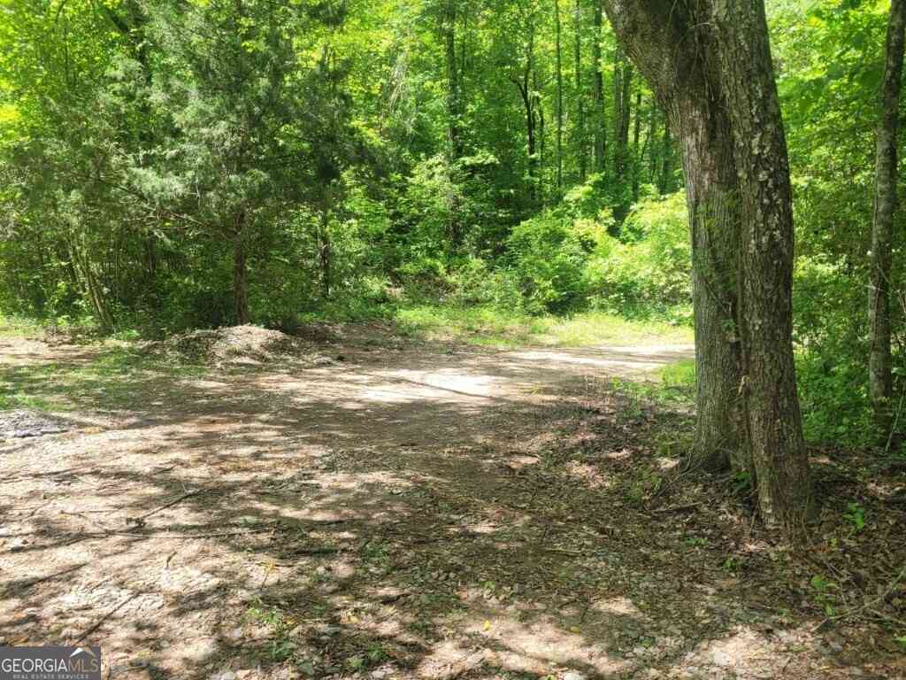 Vacant Land For Sale - 251 Bean Creek Road<br/> Sautee Nacoochee, GA 30571
