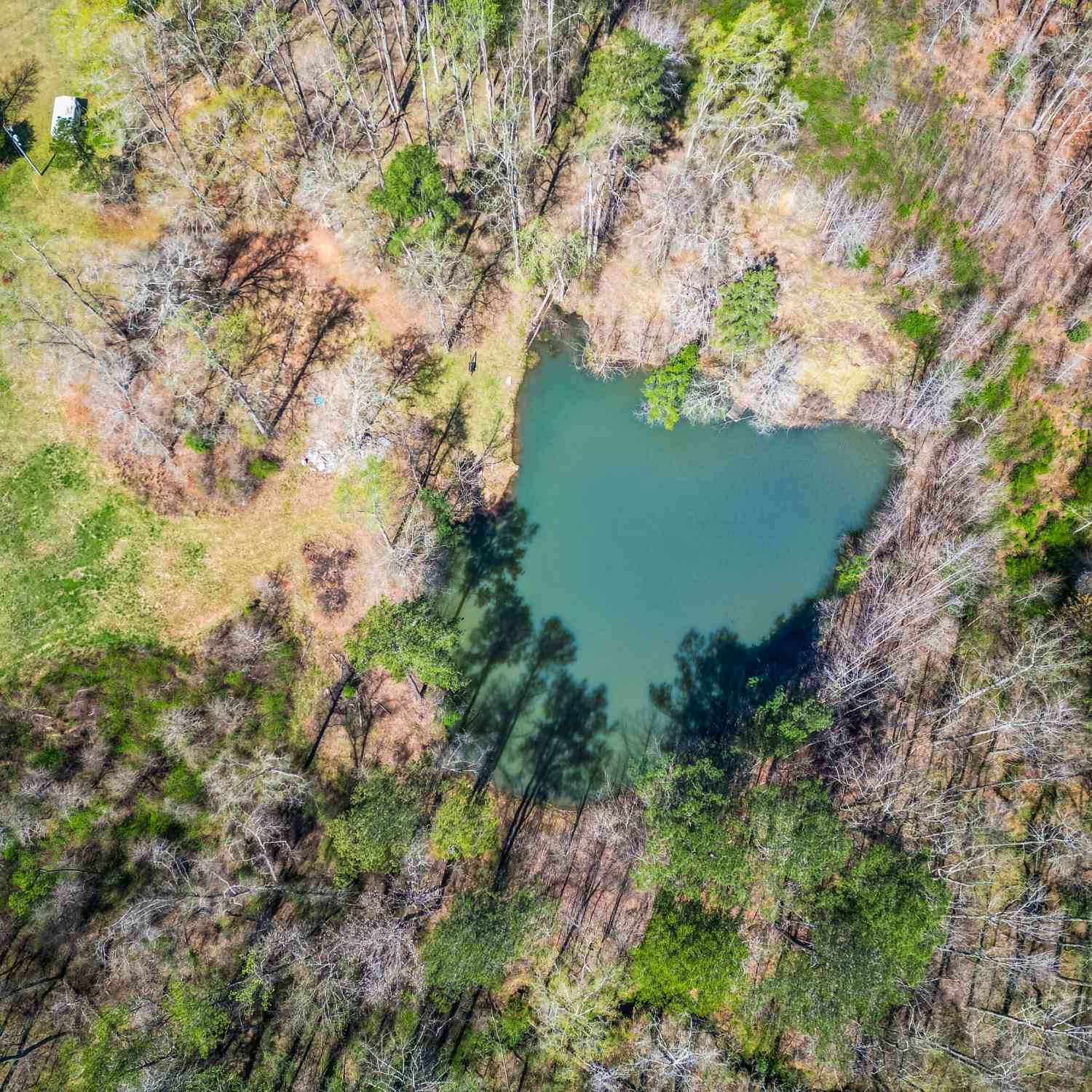 Vacant Land For Sale - 4835 Snows Mill Road<br/> Monroe, GA 30655