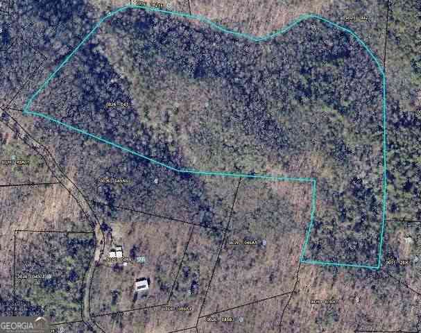 Vacant Land For Sale - 28.4 AC Black Dog Trail<br/> Blue Ridge, GA 30513