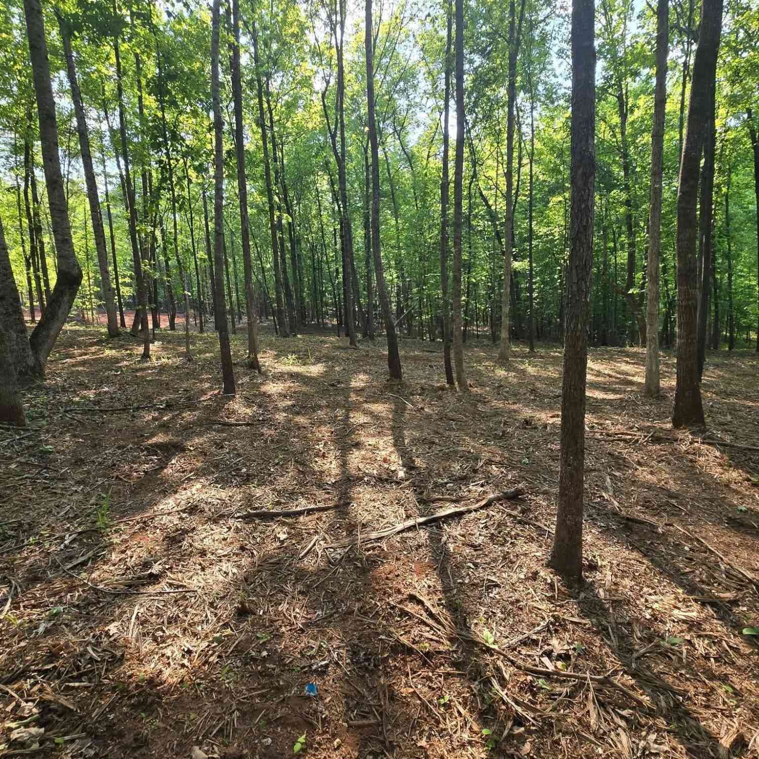 Vacant Land For Sale - 135 Lakeshore Drive<br/> Putnam County, Eatonton, GA 31024