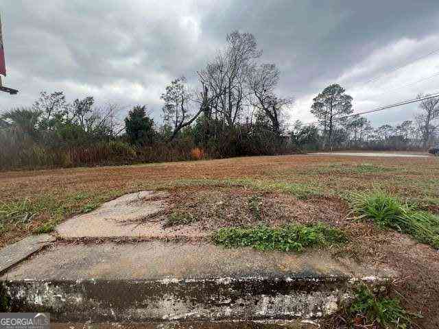Vacant Land For Sale - N State Street<br/> Toombs County, Lyons, GA 30436