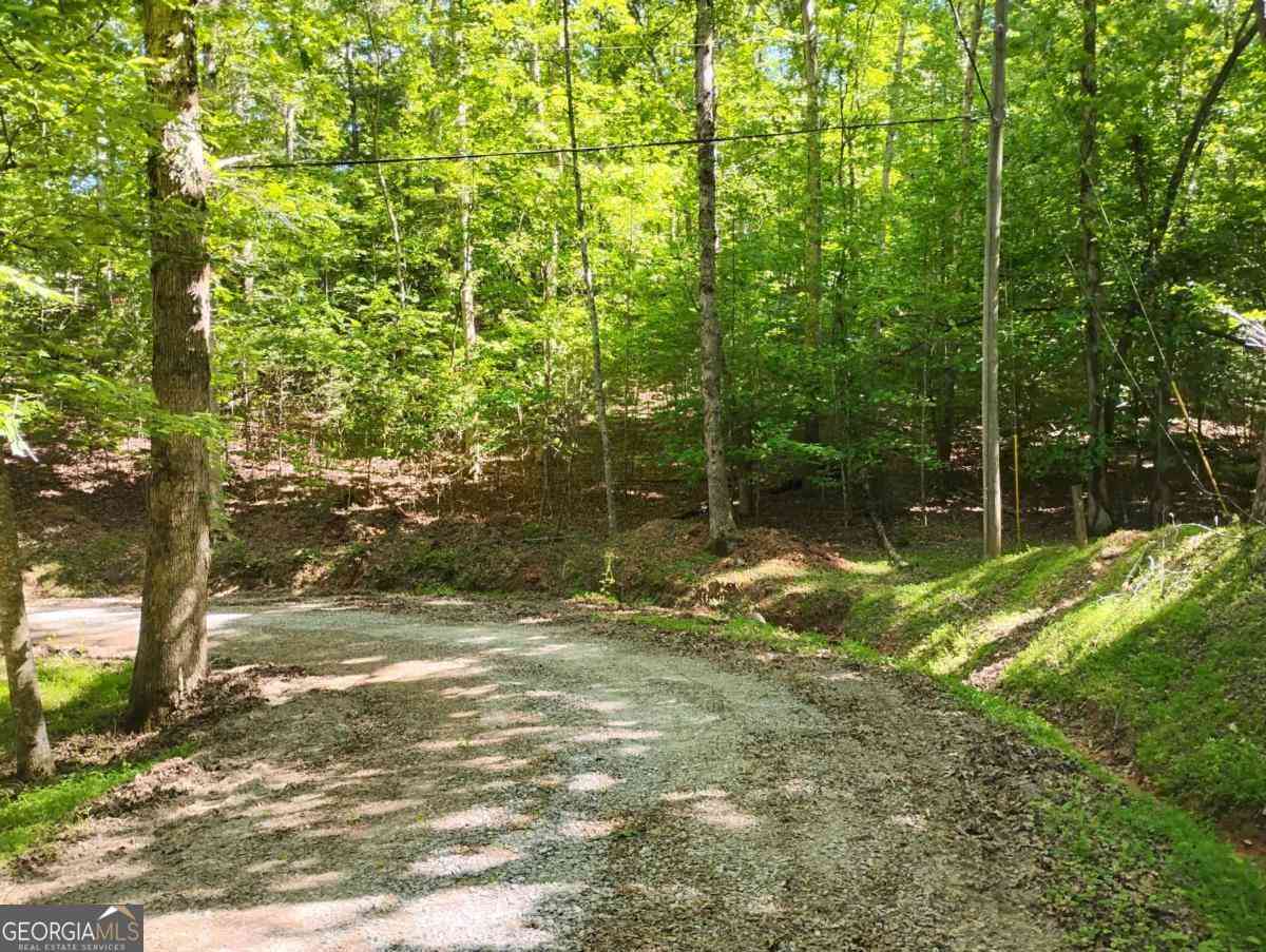 Vacant Land For Sale - Gladstone Court #967, 968<br/> Ellijay, GA 30540