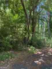 Vacant Land For Sale - Windsor Way<br/> Newnan, GA 30263