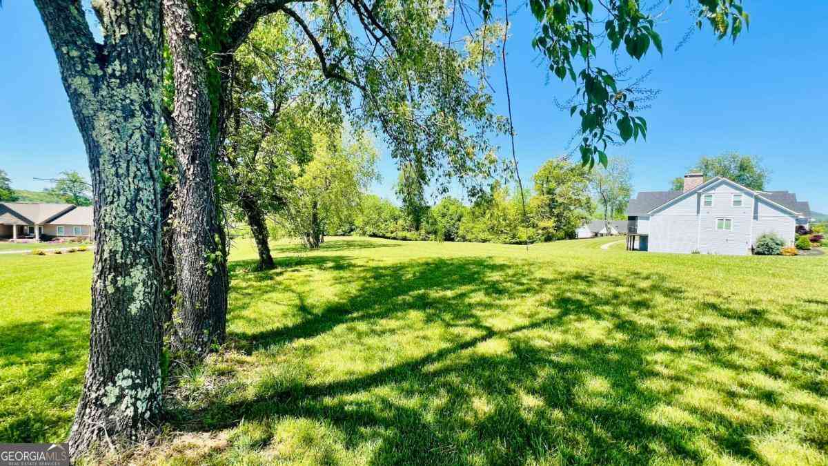 Vacant Land For Sale - LOT 108 Owen Glen<br/> Union County, Blairsville, GA 30512