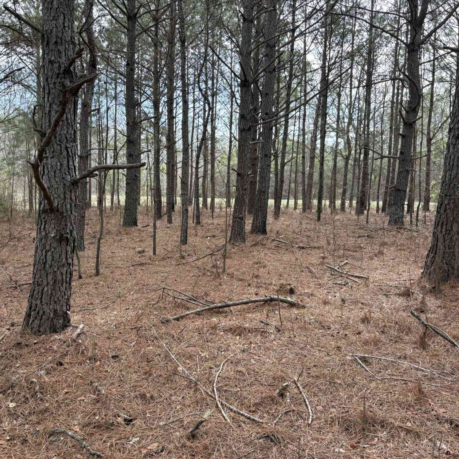 Vacant Land For Sale - L8 Quaker Road<br/> Keysville, GA 30816