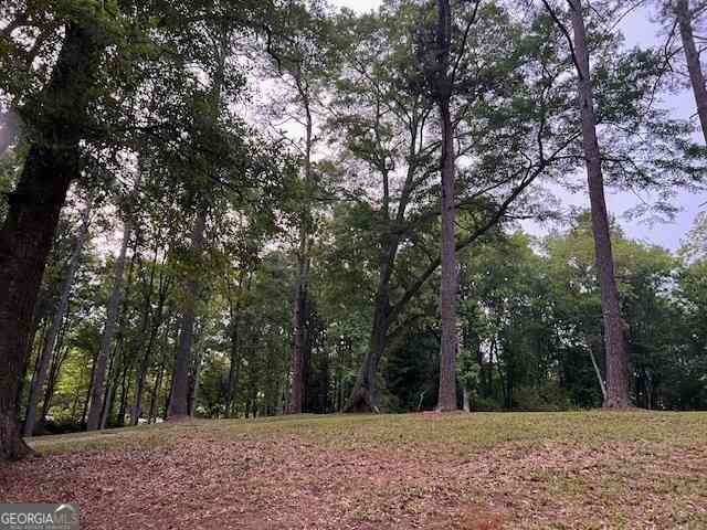 Vacant Land For Sale - 877 Bedwell Street<br/> Heflin, AL 36264