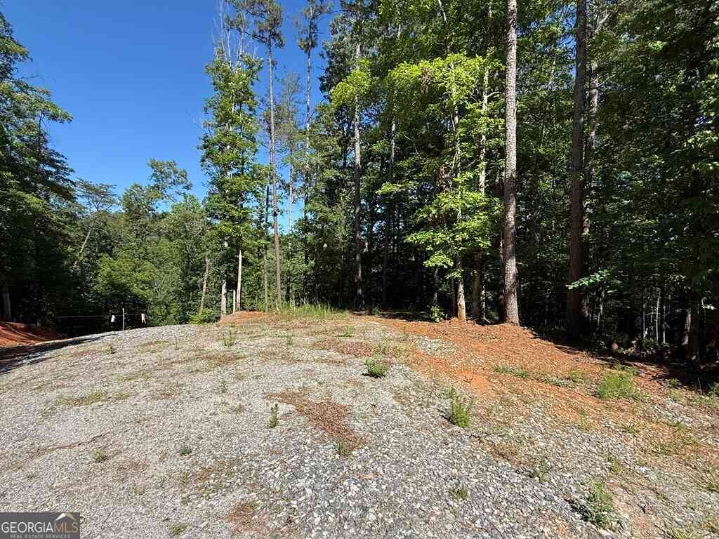 Vacant Land For Sale - Limber Lost Trail<br/> Cleveland, GA 30528