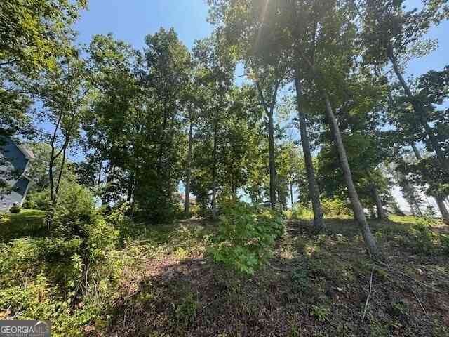 Vacant Land For Sale - LOT 5 Hunter Lane<br/> Union County, Blairsville, GA 30512