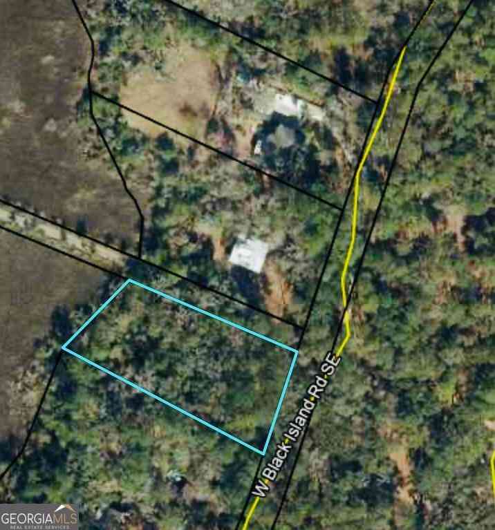 Vacant Land For Sale - W Black Island Road SE<br/> Darien, GA 31305