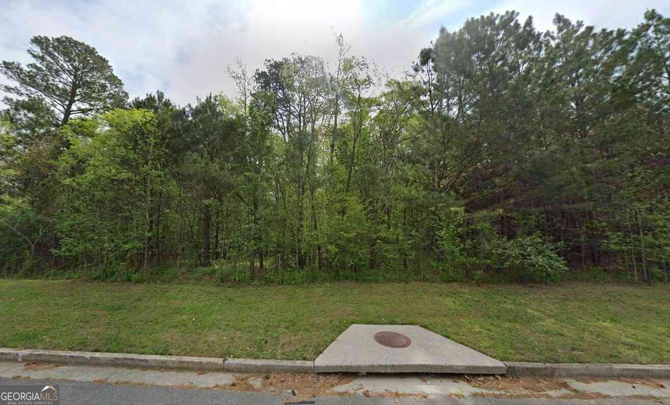 Vacant Land For Sale - 3155 Avondale Parkway<br/> Cobb County, Powder Springs, GA 30127