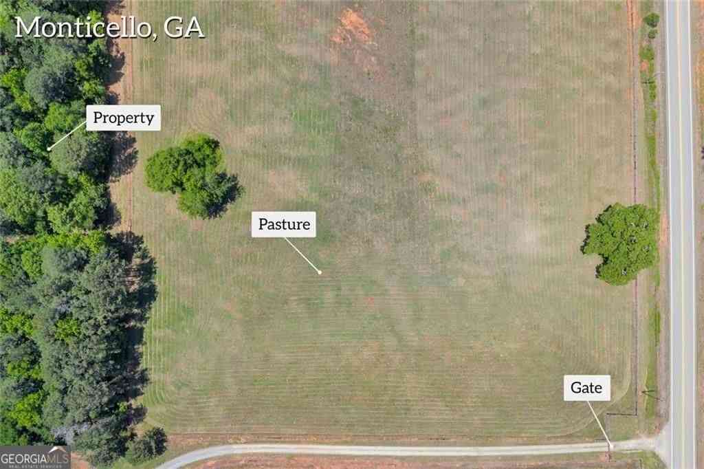 Vacant Land For Sale - Hwy 11<br/> Monticello, GA 31064
