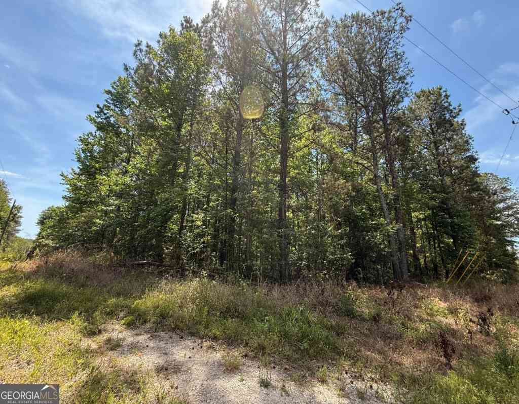Vacant Land For Sale - 467 N Raburn Road<br/> Bremen, GA 30110