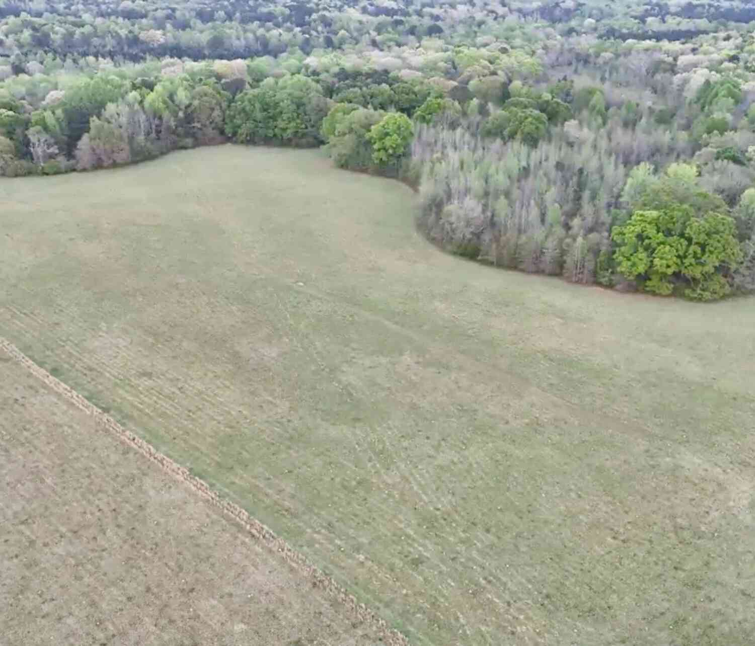 Vacant Land For Sale - 48.04 ACRES Caldwell Rd<br/> Zebulon, GA 30295