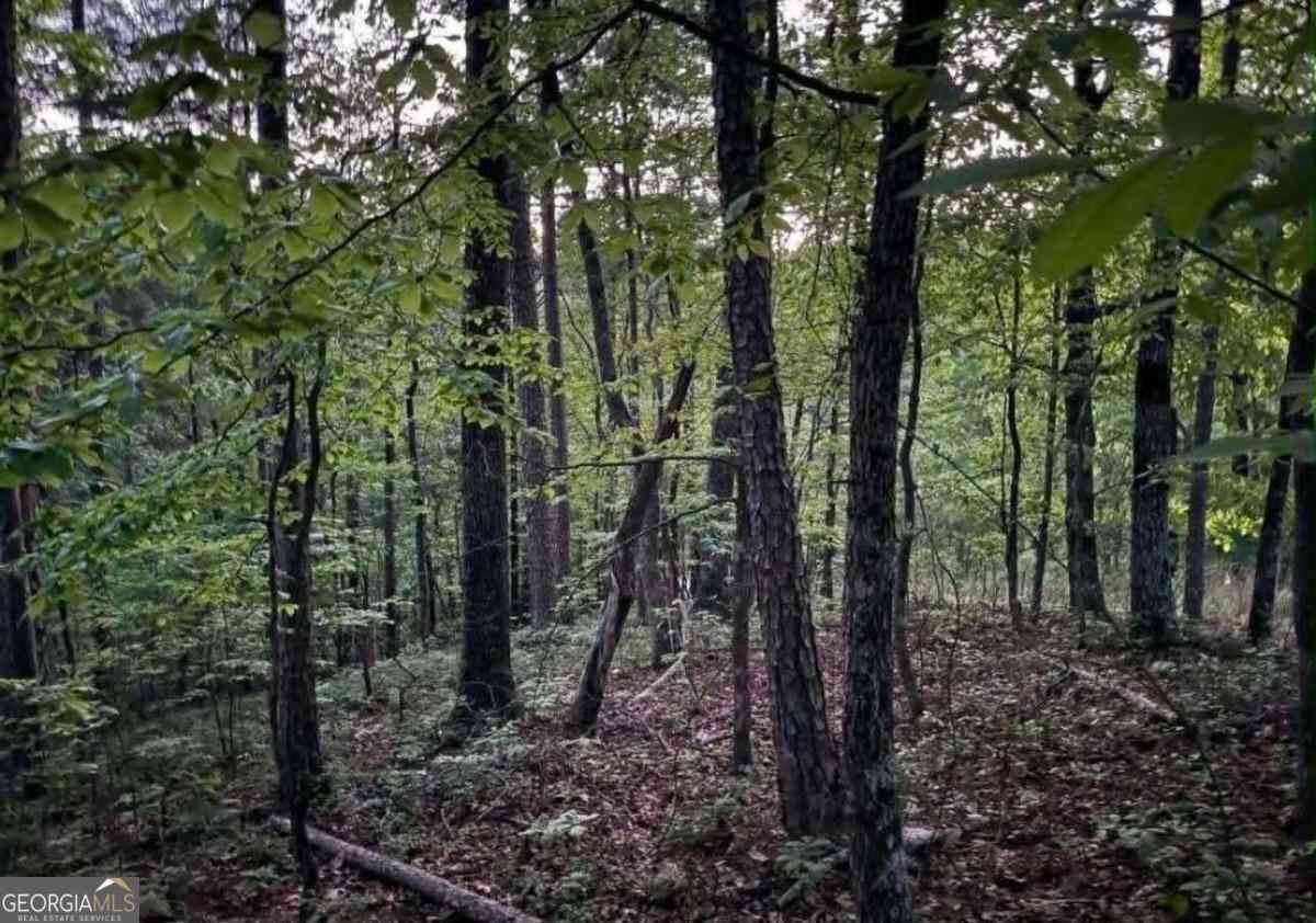 Vacant Land For Sale - 562 Neptune Circle NE<br/> Ranger, GA 30734